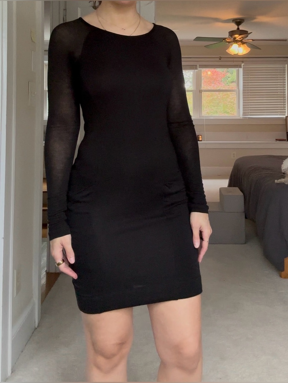 BCBGMaxAzria Black Long Sleeve Mini Dress